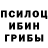 Псилоцибиновые грибы прущие грибы TheSpartyxa
