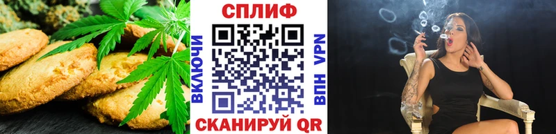 Canna-Cookies марихуана  где найти   Яранск 