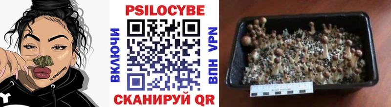 наркотики  МЕГА зеркало  Галлюциногенные грибы прущие грибы  нарко площадка официальный сайт  Яранск 